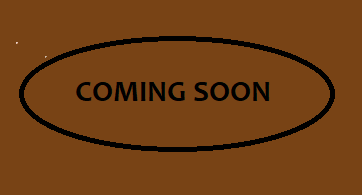 Sunteck Mira Road 2BHK Plan